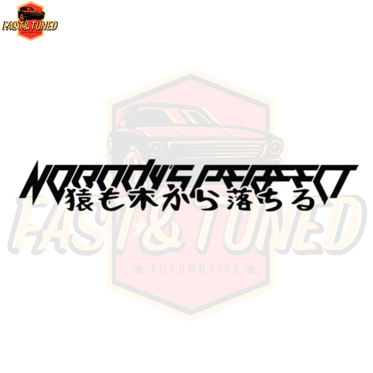 bande de pare brise nobody is perfect