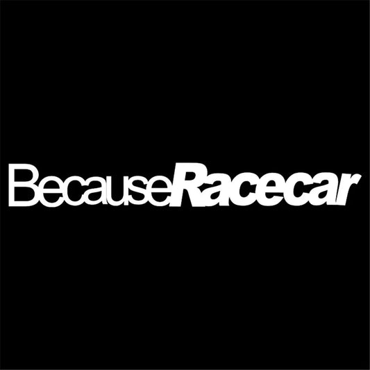 BECAUSE RACECAR - Sticker